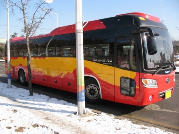 Фото - Туристический автобус Kia Granbird, 2012г