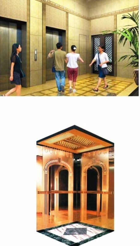 Фото - Поставка под заказ лифты и эскалаторы  ZXWorld