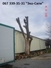 Аварийное удаление деревьев0673393531