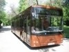 Автобус МАЗ 203 новый