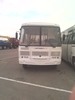 Городской автобус ПАЗ 32053, 32054
